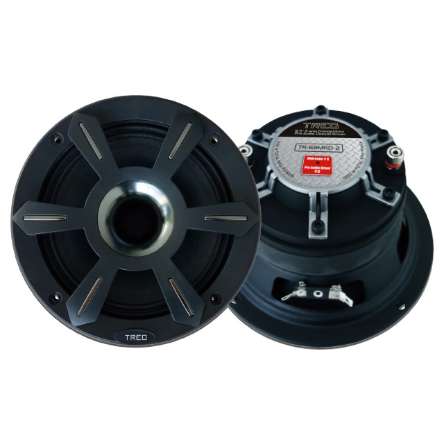 TR-65MRD-2 - TREO MEDIO RANGO CON DRIVER 6.5" OPEN SHOW 1200W MAX